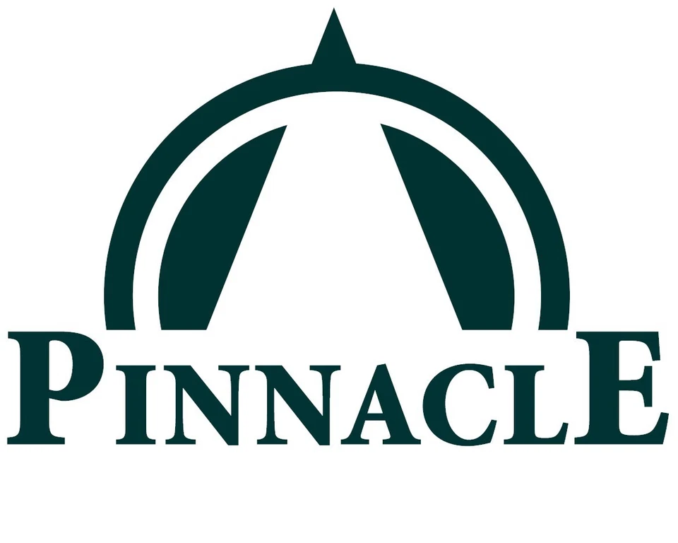 10 Crystal Clear Grande Pages w 2 Pockets for Graded Currency & Large Currency - Image 4 of 4