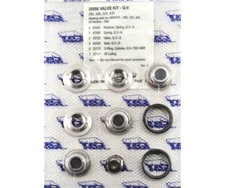Cat Pumps 30686 VALVE KIT QV (Quiet Valve) fits 280, 290, 333, 430 Pumps, OEM