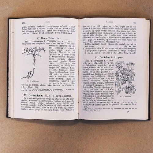 Flora of Iceland - Flóra Íslands / 2nd Edition, 1924 - Picture 10 of 16