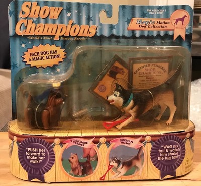 show dog accessories
