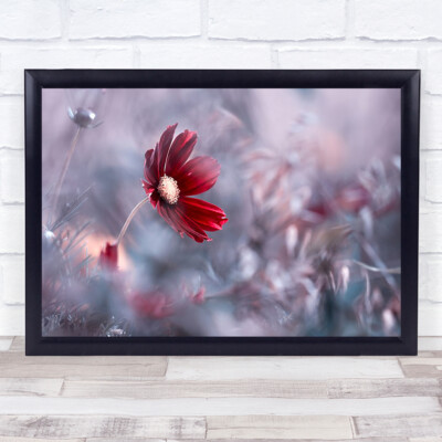 Wandbilddruck Carmen Blume L rot Bokeh Garten