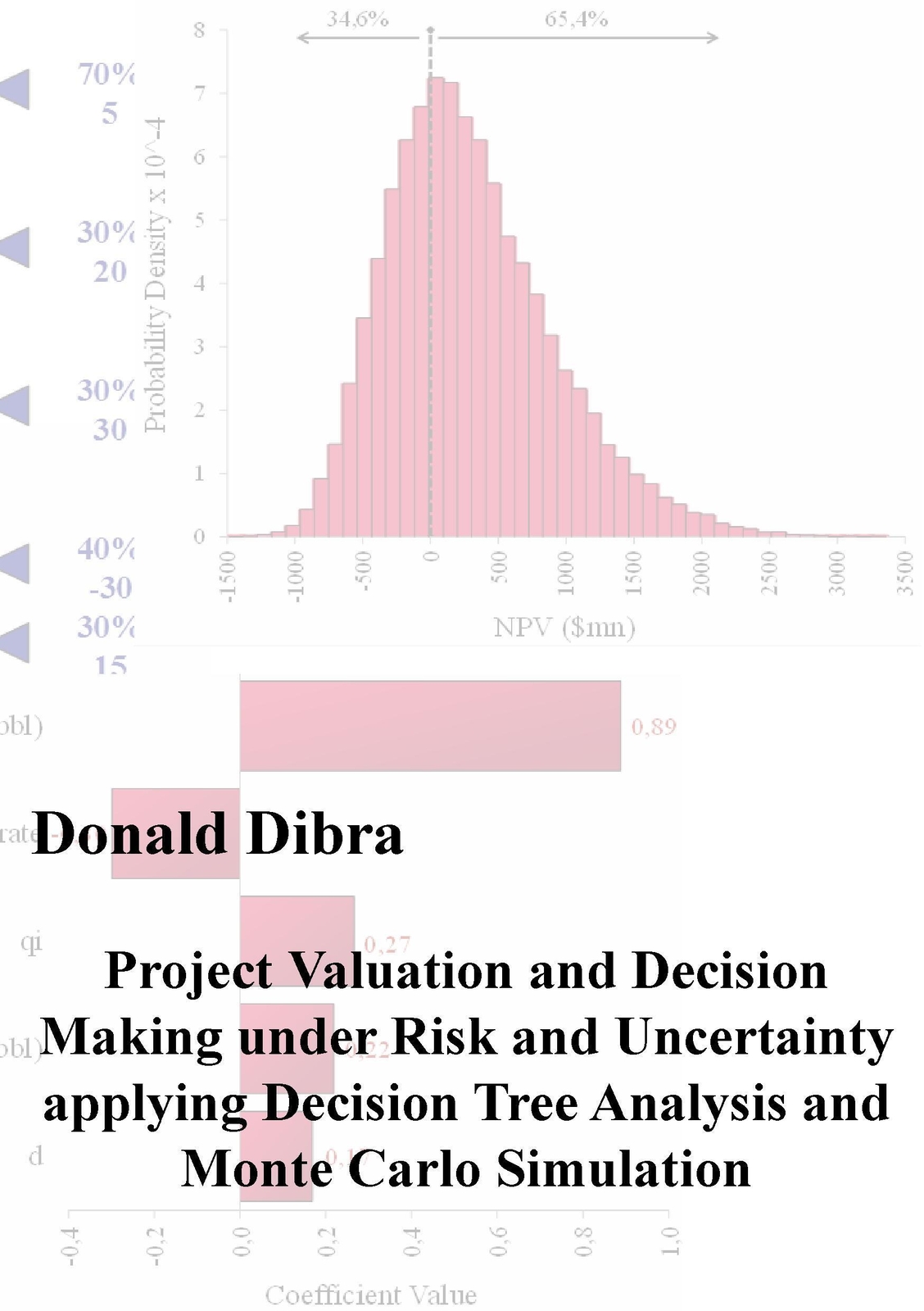 Thumbnail - Donald Dibra | Project Valuation And Decision Making Under Risk And...
