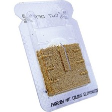 Biopren BMS Pharaoh Ant Bait - 4x 2.5g Sachets