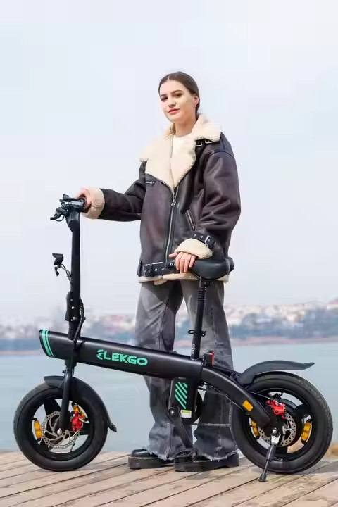 E-bike ELEKGO EG01 a fort couple 80Nm pour franchir sans effort toutes les cotes