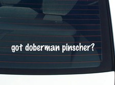 got doberman pinscher CAR DECAL BUMPER STICKER VINYL FUNNY JOKE WINDOW