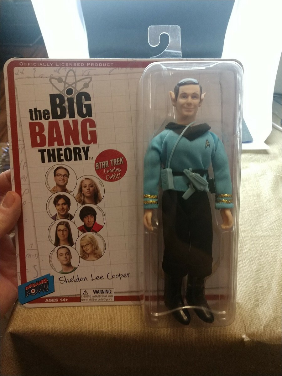 THE BIG BANG THEORY 8