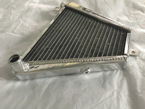 DUCATI PANIGALE 1199 1199S 1199R 12-15 LOWER RACING RADIATOR - Picture 3 of 8