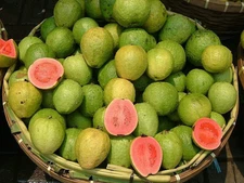 Pink Guava Seeds Psidium guajava Non-GMO, Tracking Included, Gardening Gift
