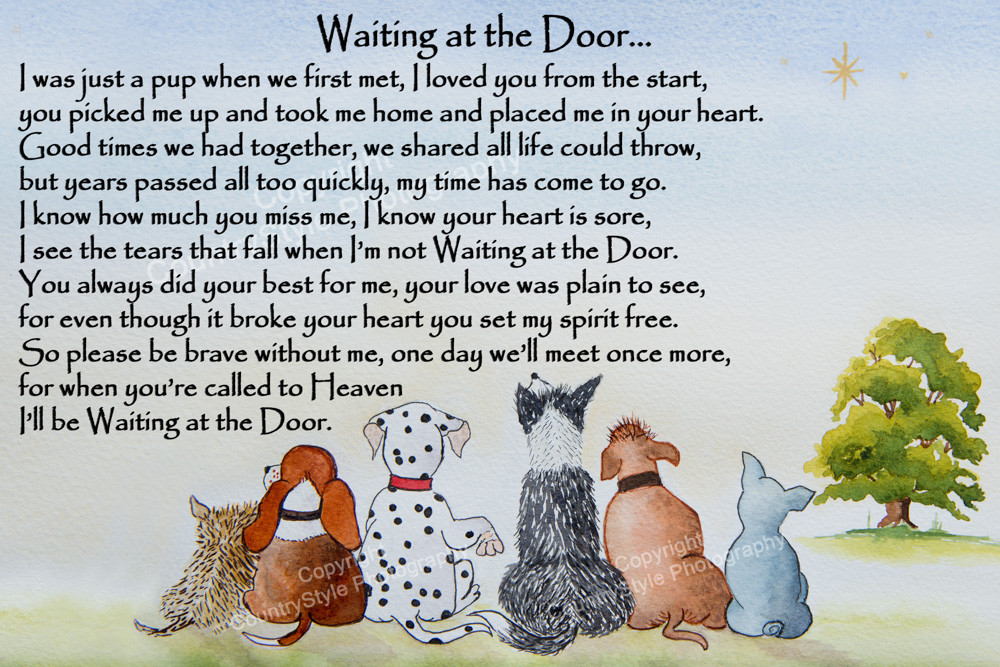 Dog Memorial Rainbow Bridge pet loss Gift collie dalmatian