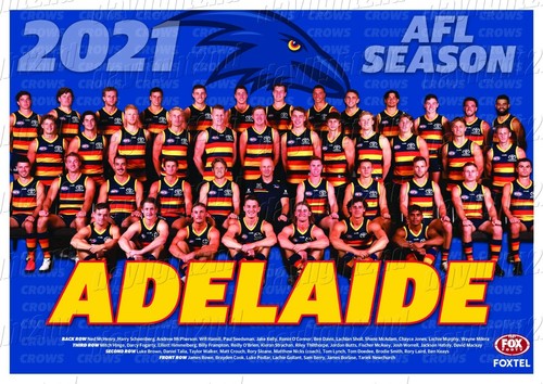 Framed 2021 ADELAIDE CROWS AFL Poster - 45cm x 32cm x 3cm - Picture 2 of 3