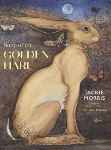 Song of the Golden Hare by Jackie Morris (2024, Hardcover)