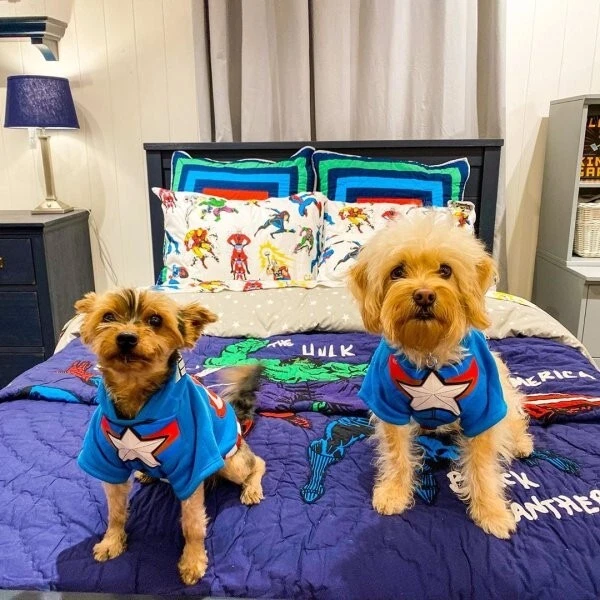 Disney Pottery Barn Holiday almohada regalo falso Star Wars fiesta escuela niño espacial, Foto 4 de 4