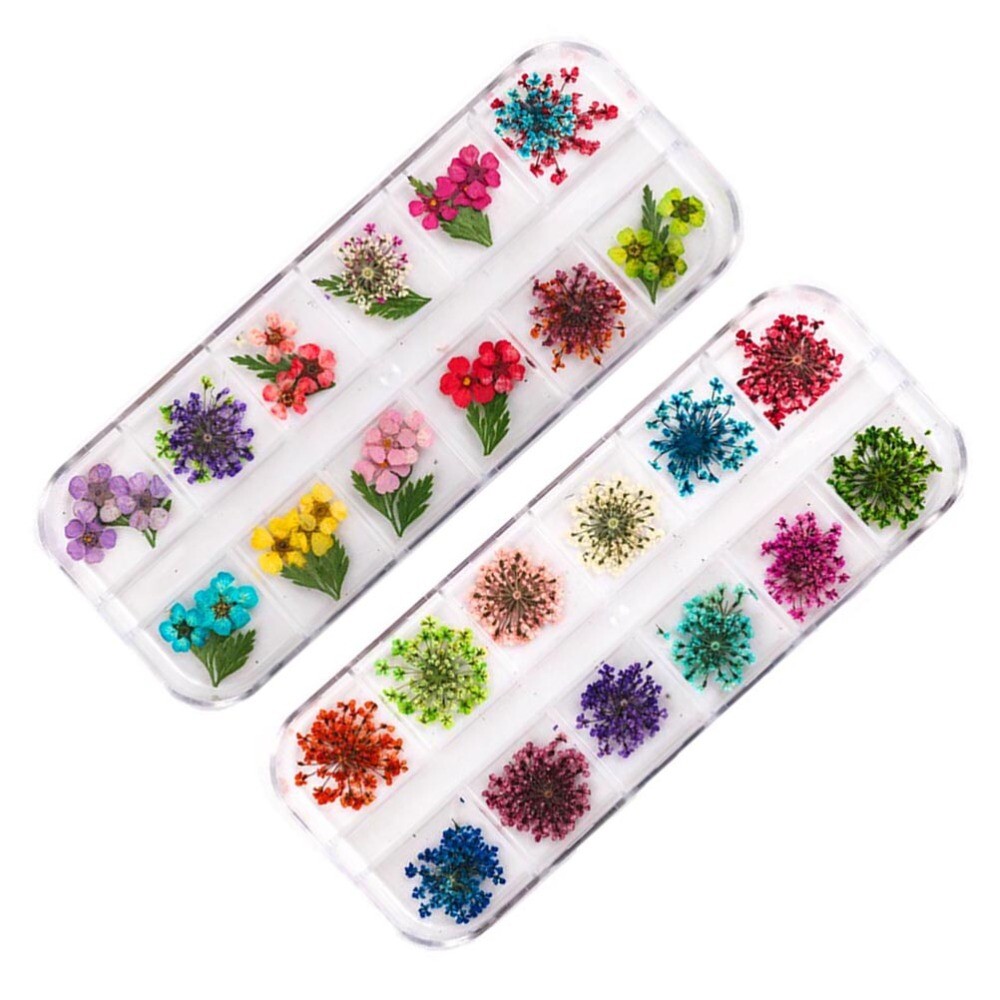 2 Boxes Nail Art Accessories Mini Dried Flowers for Nails Fashion eBay