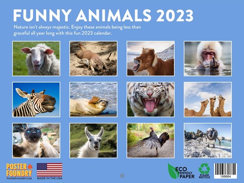 Funny Animal Photos 2023 Wall Calendar Gag Gift Monthly Large Planner | eBay Funny Animal Photos 2023 Wall Calendar Gag Gift Monthly Large Planner | eBay