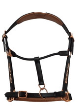 Leather Horse Halter Golden Crystal  Tan Brown Padding With Brass Fitting