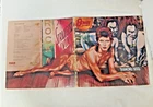 DAVID BOWIE Diamond Dogs 1974 Record Vinyl LP RCA Victor CPL1-0576 Dynaflex