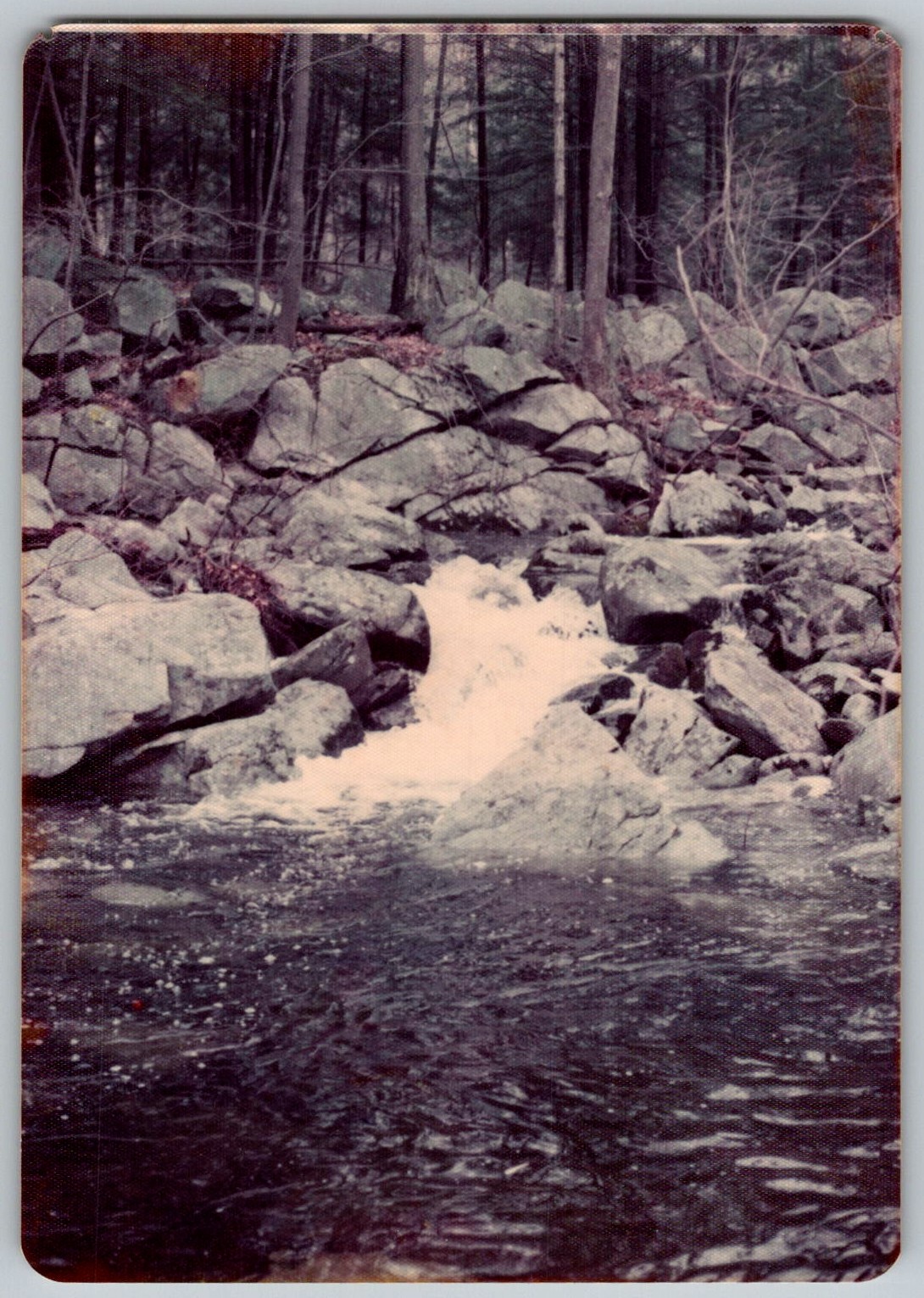 Picture 1