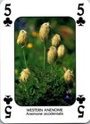 Bild 20 von 54