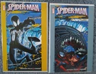 2 NIGARA FALLS/CANADA VARIANT COVERS: Amazing Spider-man #252 & #300 MARVEL 2007