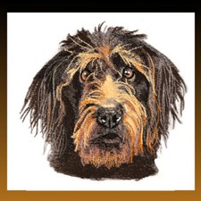 LABRA DOODLE Dog Breed Bathroom SET OF 2 HAND TOWELS EMBROIDERED