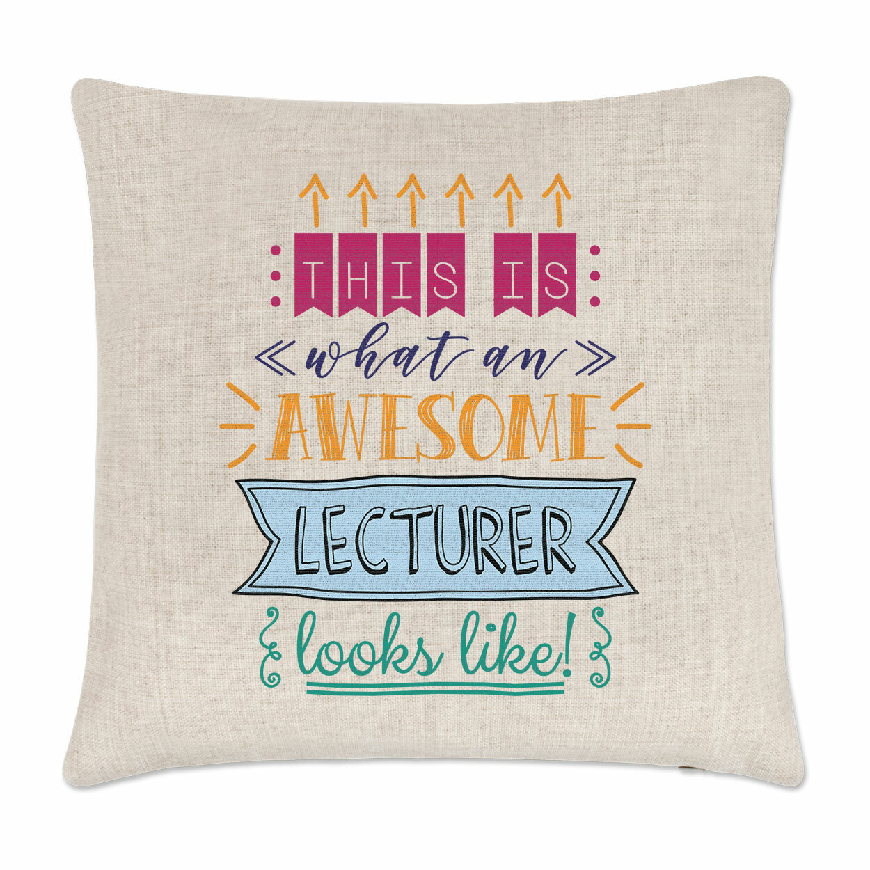 This Is What An Awesome Lecturer Looks Like Cushion Cover Pillow Best Funny