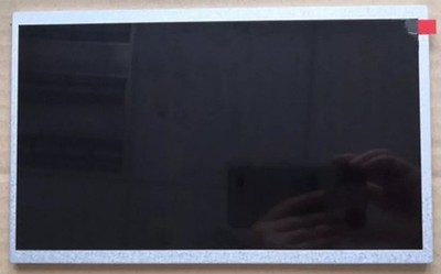 10.1'' inch TM101DDHG01 Industrial LCD Display Screen Panel for   1024 *gb