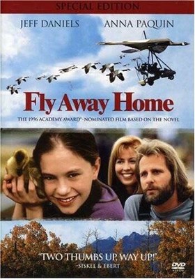 Fly Away Home (Special Edition) - DVD - GOOD