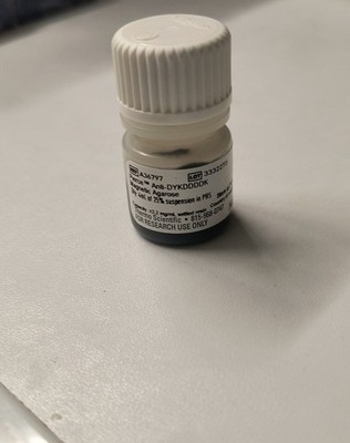 Anti-FLAG (DYKDDDDK) Magnetic Agarose Beads, 4ml 25% slurry, cat# A36797, co-IP