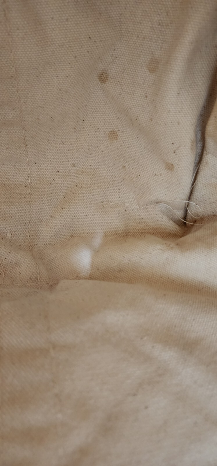 Picture 6 of 6