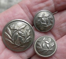 3  BOUTONS  UNIFORME POLICE NATIONALE  branche laurier chêne 