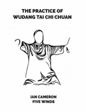 The Practice of Wudang Tai Chi Chuan by Pollock, Malcolm, Brand New, Free shi...