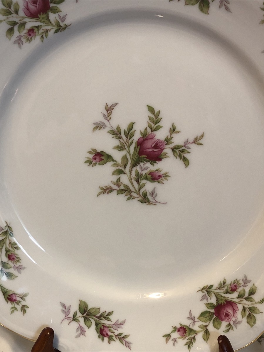 Johann Haviland Traditions Fine China Pattern Moss Rose Dinner