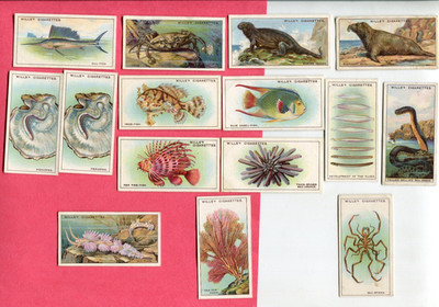 1928 W.D. & H.O. WILLS WONDERS OF THE SEA 14 DIFFERENT TOBACCO CARD LOT