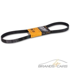 CONTI KEILRIPPENRIEMEN FÜR ALFA AUDI A4 CITROEN PEUGEOT SEAT SKODA VW T5 T6 POLO