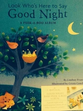 Hallmark Good Night Baby Peek-a-Boo Album