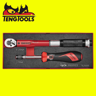 Teng Tools TEZSD02 1/4'' Torque Set FOAMX2 2 Pieces