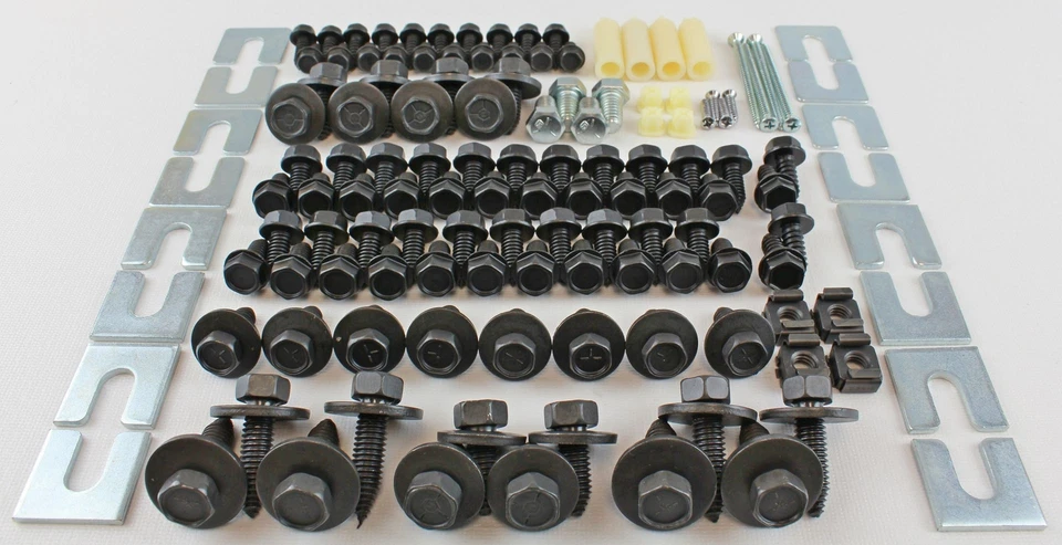 66 67 1966 1967 Pontiac GTO Lemans Tempest guardabarros delantero chapa kit de pernos Foto 3 de 4