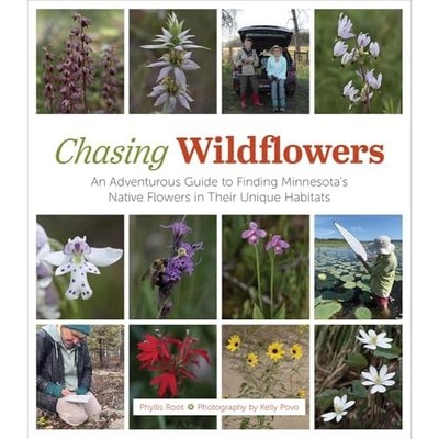 Chasing Wildflowers : An Adventurous Guide to Finding M -  NEW Phyllis Root 2025