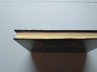 Bild 12 von 12