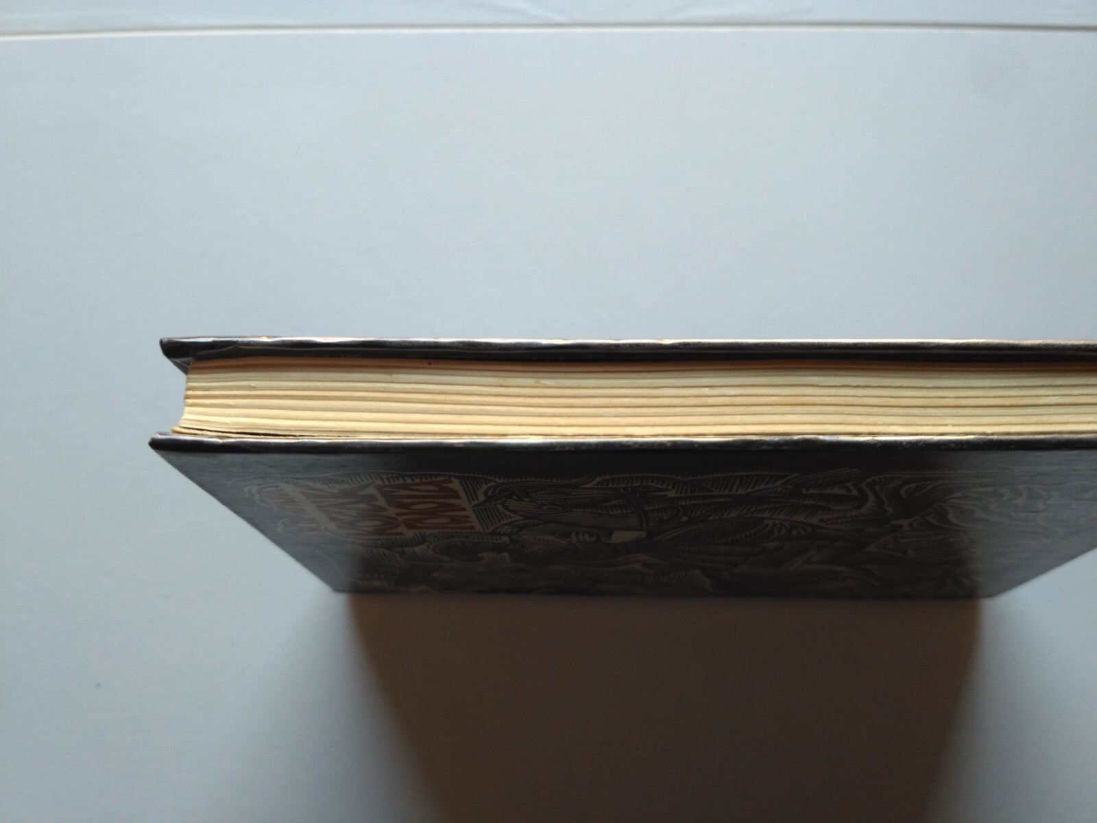 Bild 12 von 12