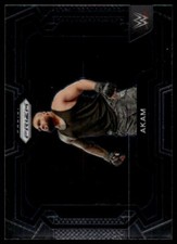 2024 Panini Prizm Akam #24