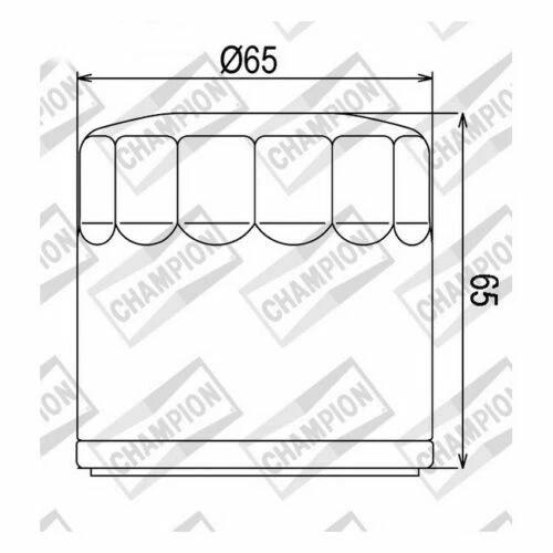 Filtres à huile Champion pour motocyclette Benelli