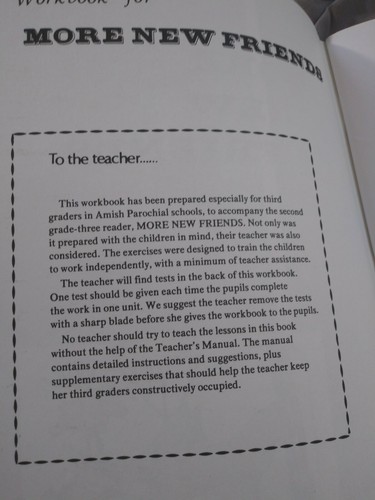 Pathway Publishers Homeschool step by step more busy times more new friends - Picture 3 of 6