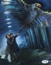 Eddie Redmayne Signed Fantastic Beasts 8x10 Autograph Photo COA Harry Potter #8