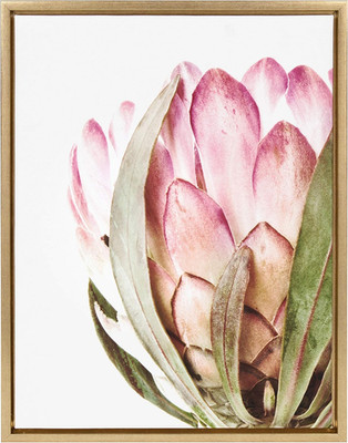 Sylvie Pink Protea Flower Framed Canvas Wall Art by Amy Peterson, 18X24 Gold