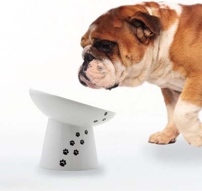 Necoichi Raised Dog Food Bowl Elevated Dogs & Cats Pets Feeding Feeder Non-Slip