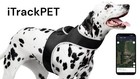 iTrackLTE Patherfinder Series GPS E-Collar Dog Track & Train - NO LIMITS
