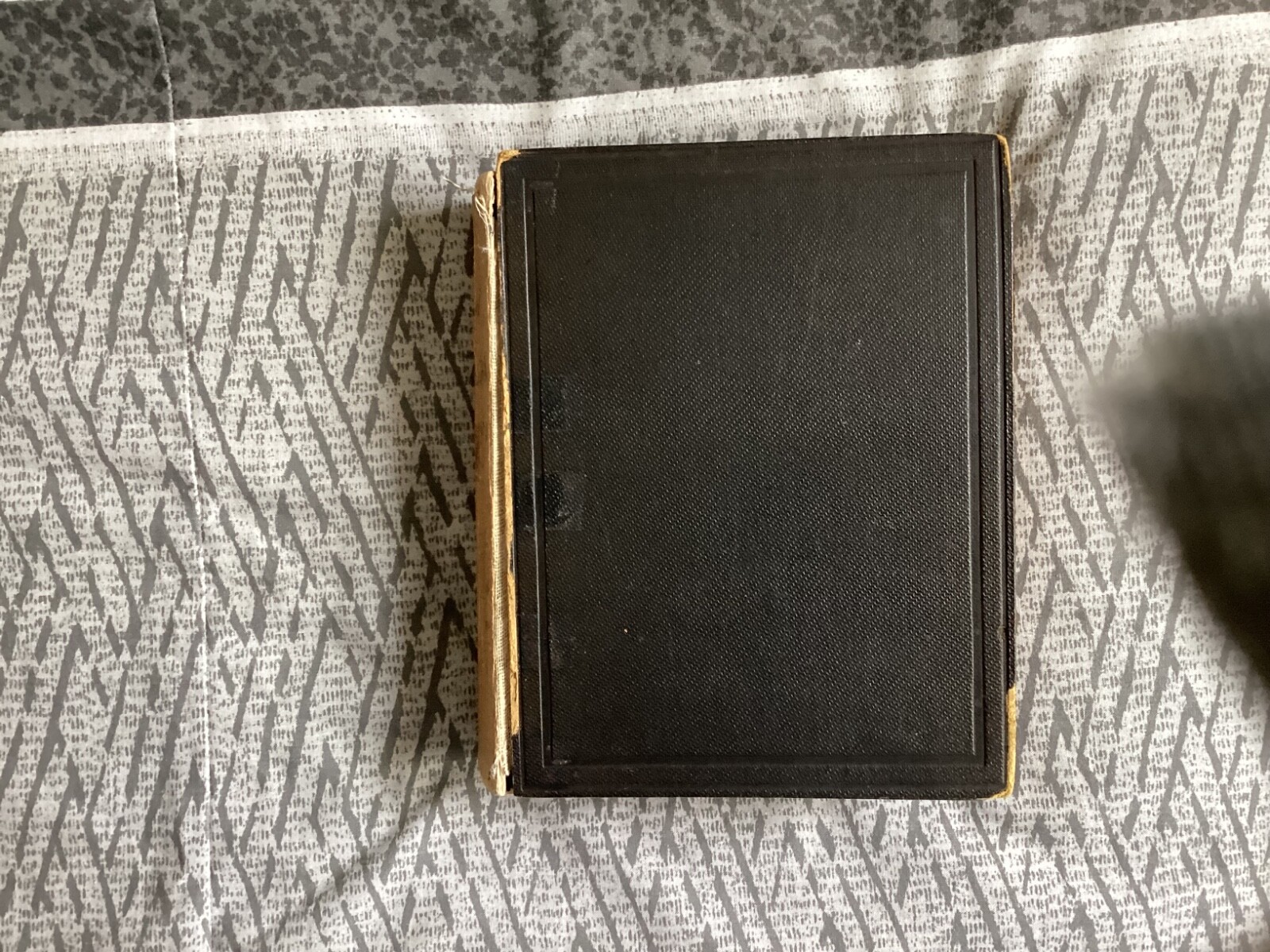 Picture 1 of 19