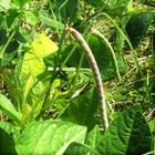 Bild 1 von 10