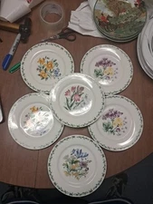 6 Thomson Pottery Floral Garden - 7.5" Salad Dessert Bread Plates Euc++ Bin 128